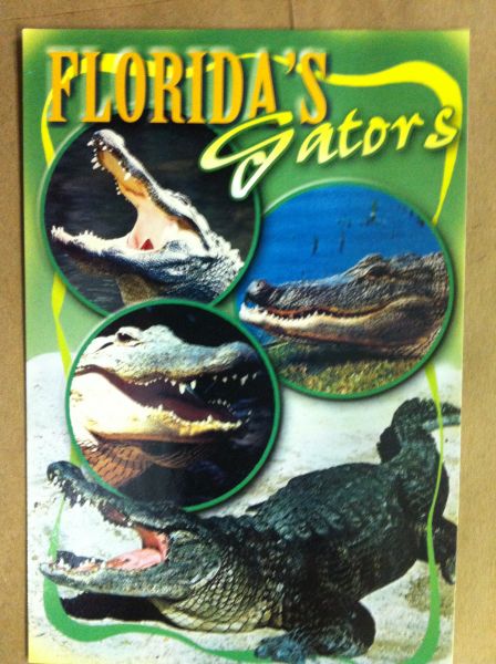 Florida's Gators